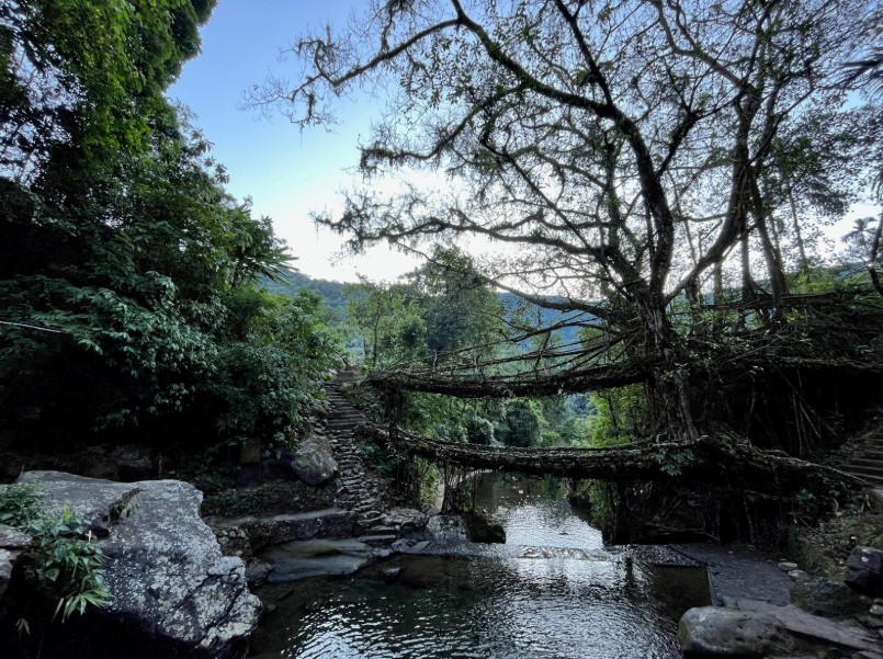 Muddie Trails Crosses 50,000 Travelers and Opens New Journeys into Tawang and Meghalaya